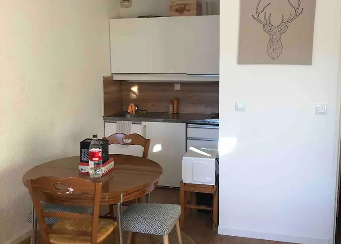 Bel Renove Au Pied Des Pistes * Valence (Drome)