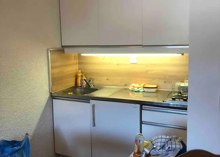 Bel Renove Au Pied Des Pistes *